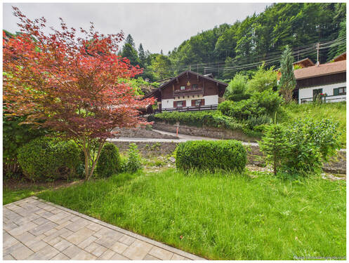 Blick in den Garten - 