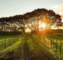 Baugrundstück in Premium Lage von Weil am Rhein (Altweil)!