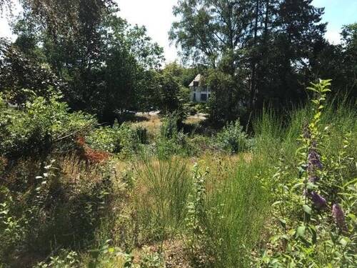 Ansicht 2 - Baugrundstück in bevorzugter Wohnlage von Homburg