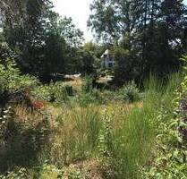 Baugrundstück in bevorzugter Wohnlage von Homburg