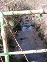 Bachlauf - 