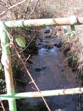 Bachlauf - 