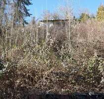 Träumen Sie nicht länger von Ihrem Traumhaus - bauen Sie es jetzt in Horb am Neckar!