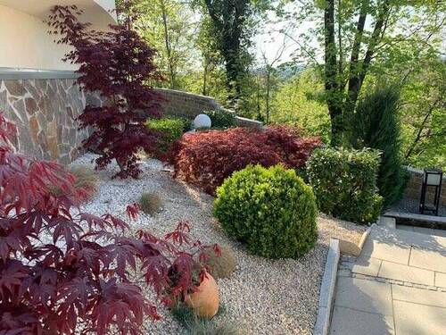 Sehr gepflegte Außenanlage - 