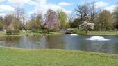 Wohnumfeld Stadtpark - 