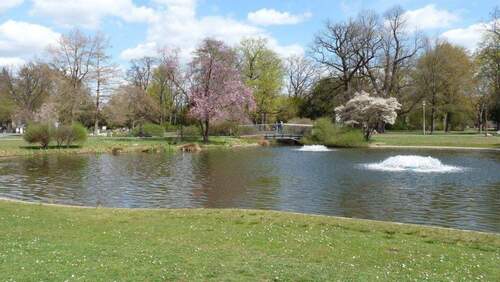 Wohnumfeld Stadtpark - 