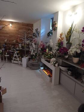 IMG_20220425_074015 - 