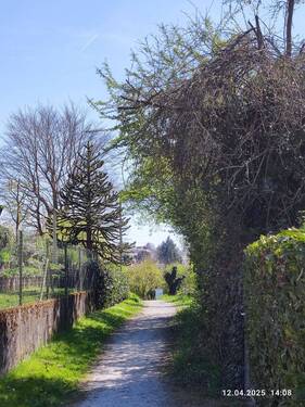 Bergwegle auf der einen ... - 