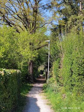 ... und auf der anderen Seite - 