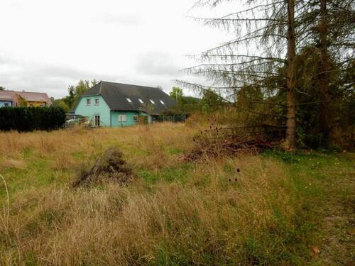 Baugrundstück - Grundstück in Ellrich zum Kaufen