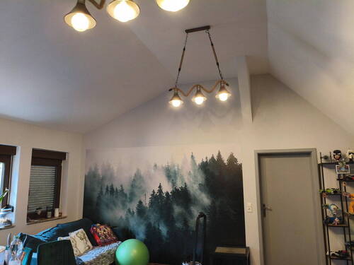 Wohnzimmer ( Mietwohnung ) - 