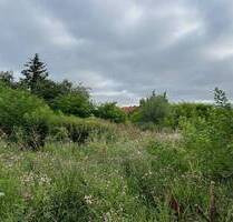 Baugrundstück in Lalendorf - 80.000,00 EUR Kaufpreis, ca.  0,00 m² in Lalendorf (PLZ: 18279)