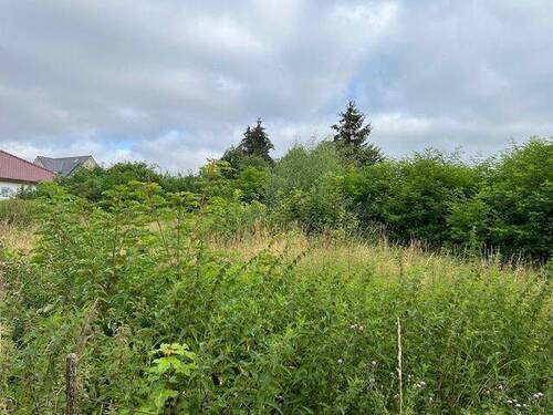 Grundstück - Grundstück zum Kaufen in Lalendorf