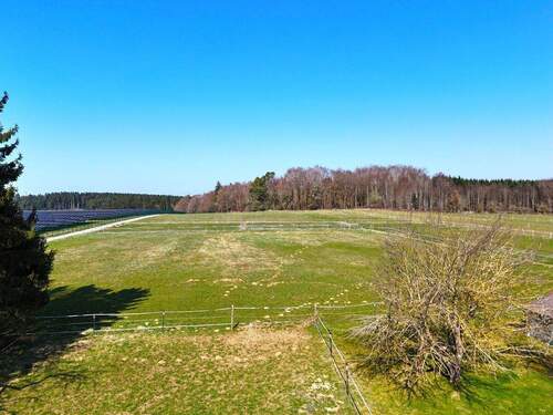 Weitläufige Pferdekoppel - 