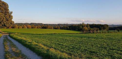 ... vom Haus zum Wald - 