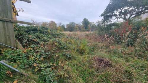 Grundstück hinten - Grundstück in Katschow