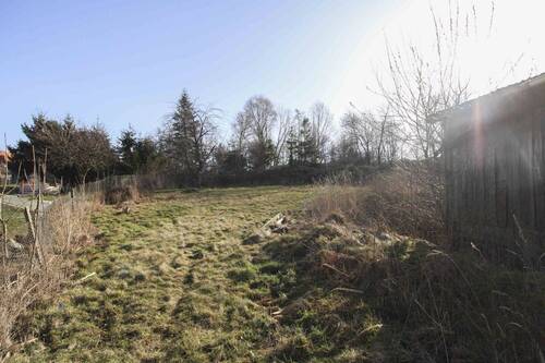 Blick in den Garten - 7 Zimmer Einfamilienhaus in Priestewitz