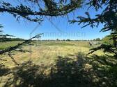 Ausblick vom Garten - 