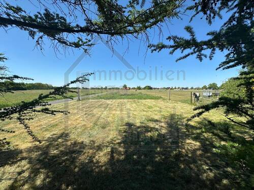 Ausblick vom Garten - 
