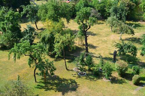 Blick zum Garten von Dachterra - 