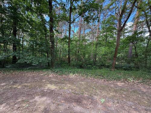 Blick auf das Grundstück - Grundstück in guter Lage in Bad Saarow Strand - als Investition