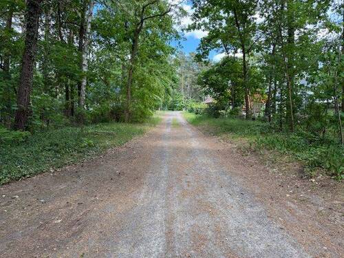 Nymphenstraße Richtung Friedrich-Engels-Damm - Einfamilienhaus zum Kaufen in Bad Saarow