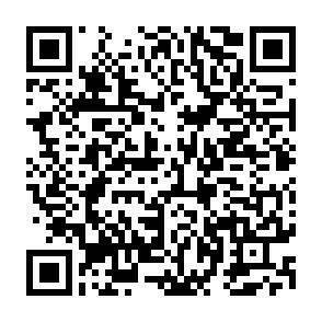 QR-Code - 