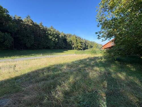 möglicher Bauplatz - 