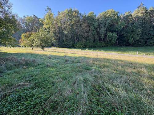 möglicher Bauplatz - 