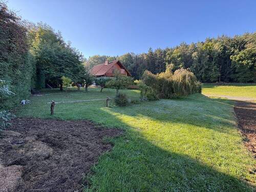 Grünflächen auf dem Grundstück - 