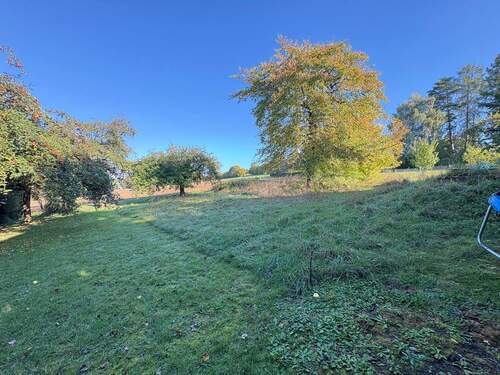 Grünflächen auf dem Grundstück - 