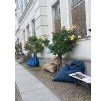 Historie trifft Moderne- Wohnen am 