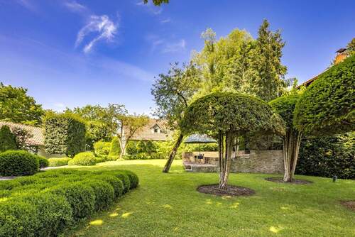 Außergewöhnlicher Baumbestand - 