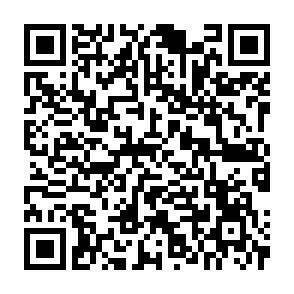 QR-Code - 