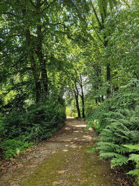 Zufahrtsweg Ansicht 2 - 