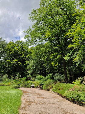 Zufahrtsweg Ansicht 3 - 