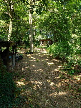 Blick aufs Gartenhaus - 