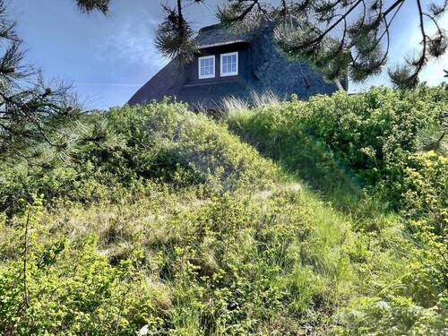 Blick vom eingewachsenen Sitzplatz - 