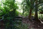 Bild 6 - 