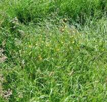 Ihr Bauplatz in einem entstehenden Wohnquartier von Ingersheim