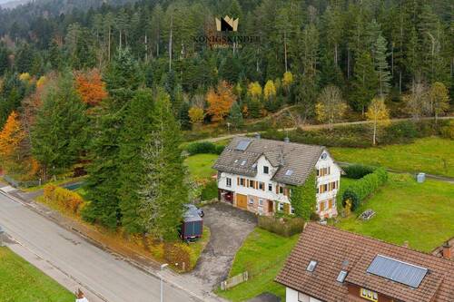 Ehemaliges Forsthaus - 1 Zimmer Mehrfamilienhaus, Wohnhaus zum Kaufen in Baiersbronn