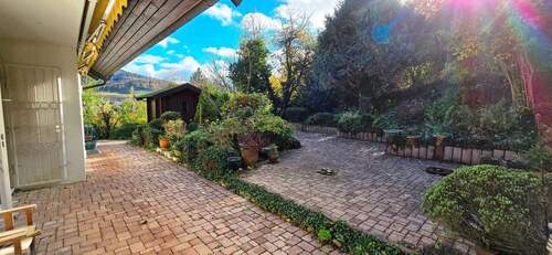 20251103_123718.jpg - 