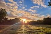 Abendstimmung auf der Wiese - 