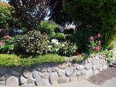 Friesenwall - 
