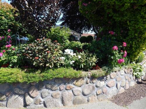 Friesenwall - 