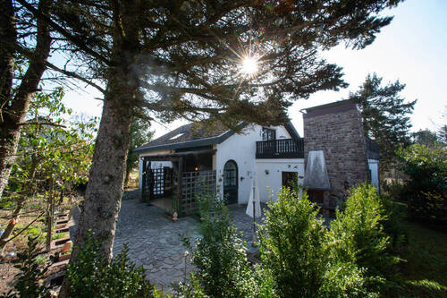 Gartenimpressionen - 