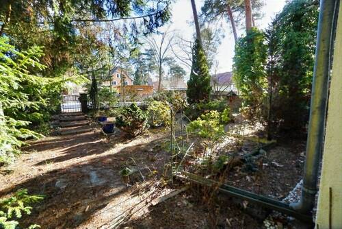 Vordere Teil des Grundstückes - 