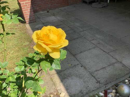 Bild 15 - 