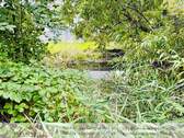 Regenwasserteich - 