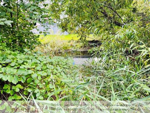 Regenwasserteich - 